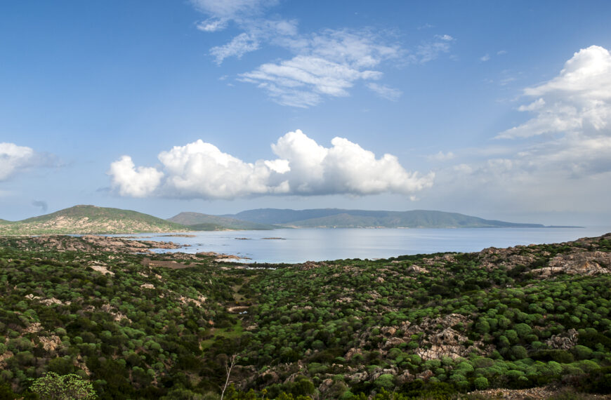 VIAGGIO  Alghero, Asinara e Porto Torres